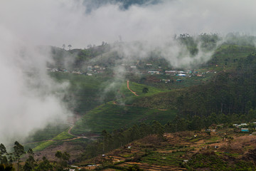 Tea plantations in mountains around Lipton's Seat near Haputale, Sri Lanka