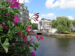 Olanda