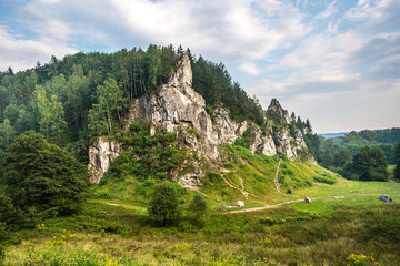 Fototapeta na wymiar Dolinki krakowskie-Dolina Kobylańska