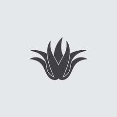 Aloe vera icon in balck on a gray background. Vector illustration
