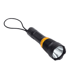 Flashlight, isolated on white background