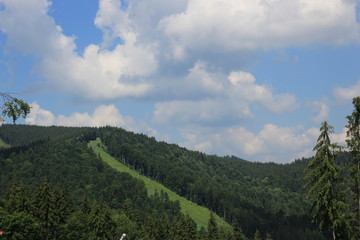 ski track in summer