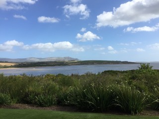 Golf fields landscape