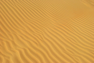 Sahara desert. Egypt