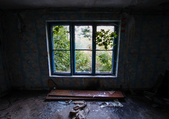 Fototapeta na wymiar Baum wächst durch Fenster in leerstehendem Gebäude - Lost Place