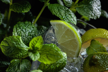 Fototapeta na wymiar Mojito cocktail drink with lime, ice and mint .