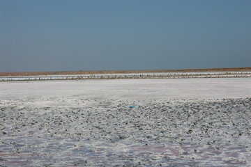 natural fossil rose salt
