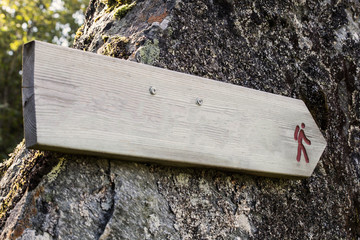 Wooden Trail Sign In A Forest For Hikers close-up