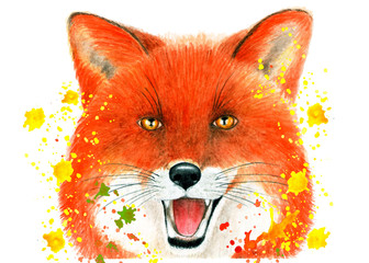 Portrait of a Fox in a spray of paint. Watercolor illustration.Portrait of a Fox in a spray of watercolor paints. Illustration for printing on t-shirts, fabrics, magazines about animals.