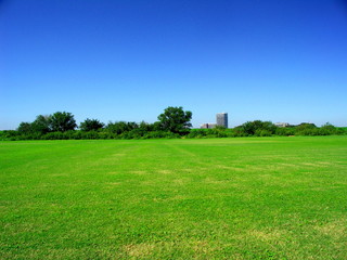 除草された河川敷の草原