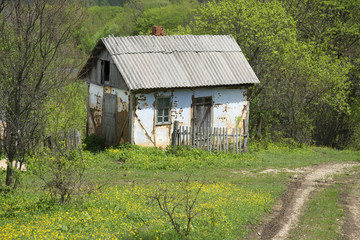 The thrown house