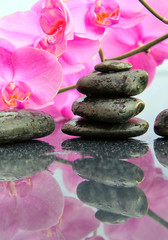 Pink orchids flowers and spa stones . Spa background.