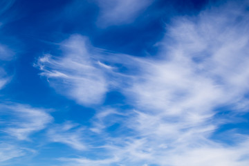 Naklejka na ściany i meble Plumose clouds in the blue sky