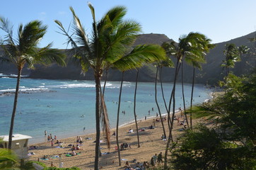Hanauma Bay Oahu Island Hawaii USA