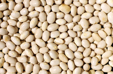Pile of white soya beans.