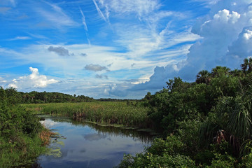 Obraz premium Guana River #1