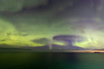 Fototapeta na wymiar Polarlicht über einem Pilz vor Island
