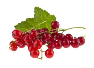 fresh, juicy red currant isolated on white background