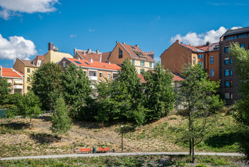 empty alley with benches, green trees and houses at sunny day, oslo, norway