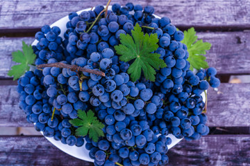 Organic blue grapes on the background of dark boards, prepared for a buffet table.