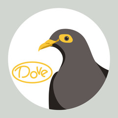 dove  head  bird vector illustration flat