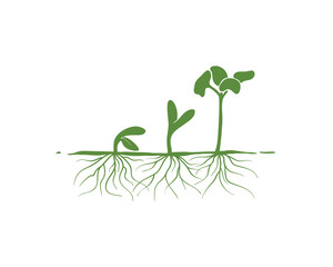 Fototapeta na wymiar Green Sprout Seed Growth with Roots Sign Symbol logo vector