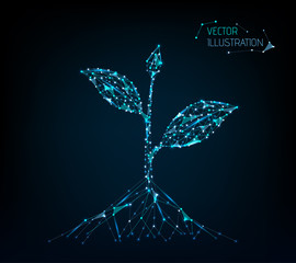 Seedling. Low poly blue. Polygonal abstract growth or health illustration. In the form of a starry sky or space. Vector.