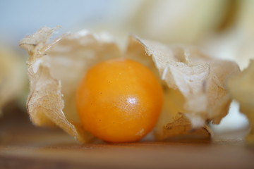 Physalis