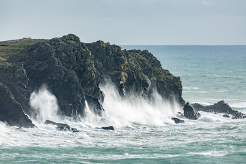 Wild Coastline,  Kynance Cove, Cornwall