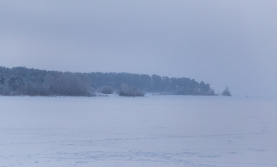 Obraz na płótnie Canvas Snowy trees in the forest in winter