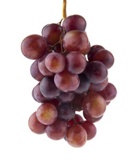 grapes isolated on white background. Ideal for packing.