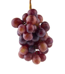 grapes isolated on white background. As an element of packaging design