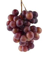 grapes isolated on white background. Ideal for packing.