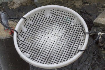 Plastic Sieve