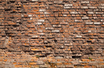 old brick wall as an element of the packaging design