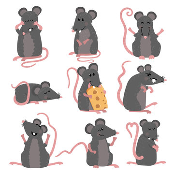 Set of cute mice in various poses in cartoon style