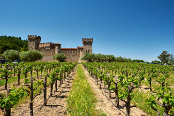 Fototapeta na wymiar Vineyards with castle in California