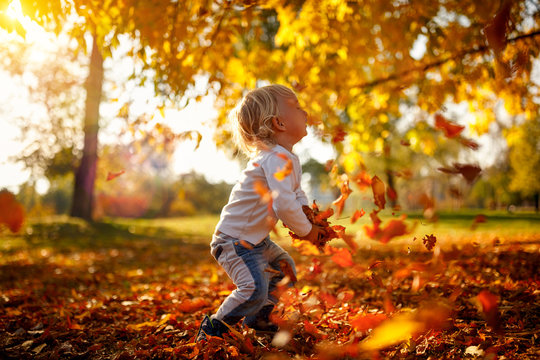 Adorable child boy with leaves in autumn park. The concept of childhood, family and kid
