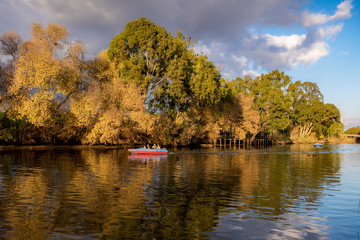 autumn landscape with lake and trees