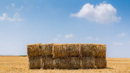 bales of hay