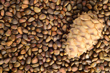 scattering of pine nuts