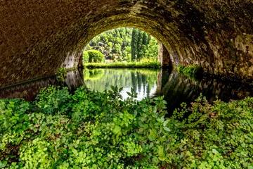 Cercles muraux Canal Kanal Wasser Pflanzen