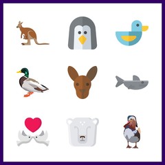 animals vector icons set. penguin, love birds, duck and shark in this set.
