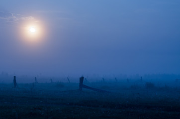 fog in sunrise