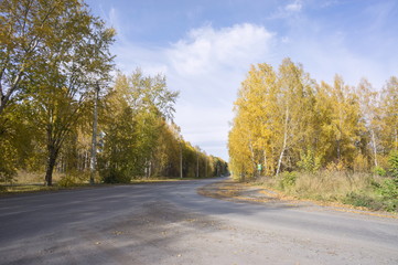 Country asphalt road with cars among the autumn yellow trees.