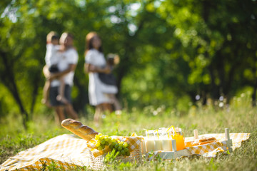 Unrecognizable family on picnic. Front still of picnic food, family on background