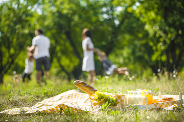 Unrecognizable family on picnic. Front still of picnic food, family on background