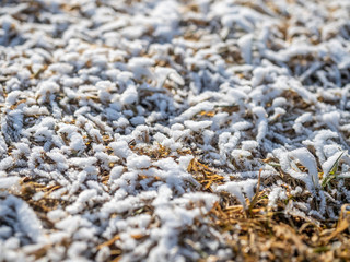 Snow on grass in winter