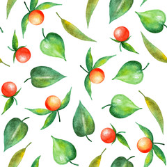 Seamless pattern with physalis berries. Watercolor illustration.
Summer illustration for printing. Botanical background. Great pattern for summer dresses, skirts, bags.