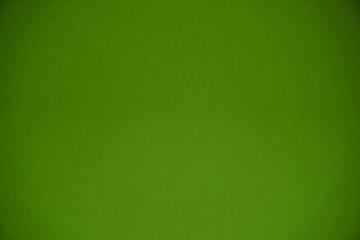 light green pastel paper color for background